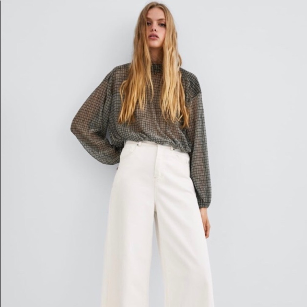 NWOT Zara Sheer Crop Top
